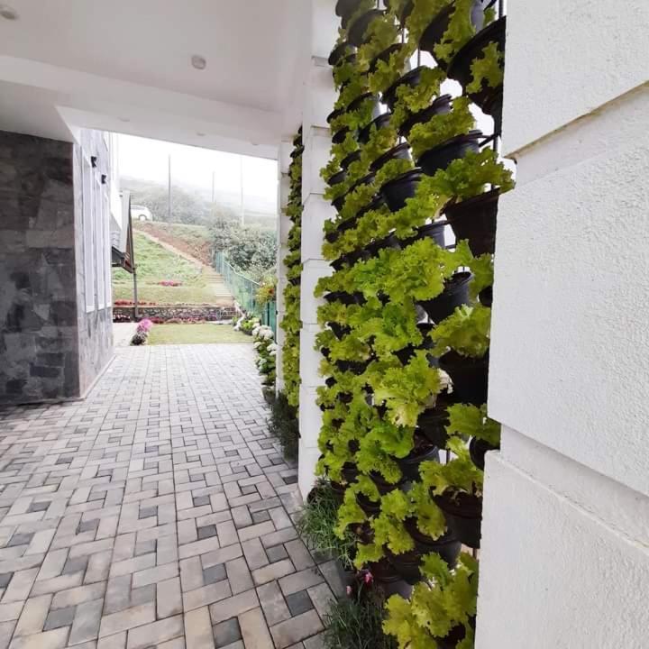 Pensive Villa Nuwara Eliya Luaran gambar